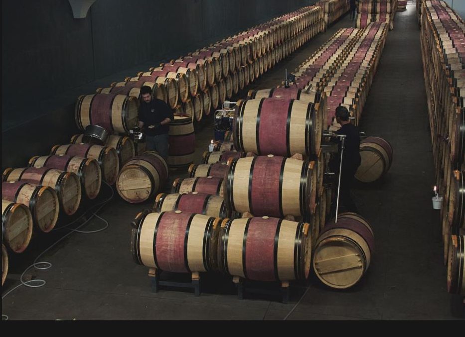 wine-cellar-margaux Chai à barriques de vin dans une cave bordelaise